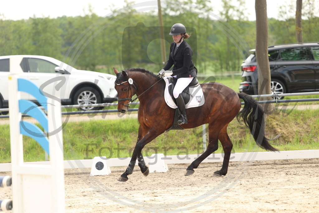 994A7578 | sabrinanicolaifotografie - Realisiert mit Pictrs.com