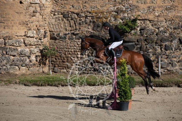 2B4A0415 | pixelfaenger - Realisiert mit Pictrs.com