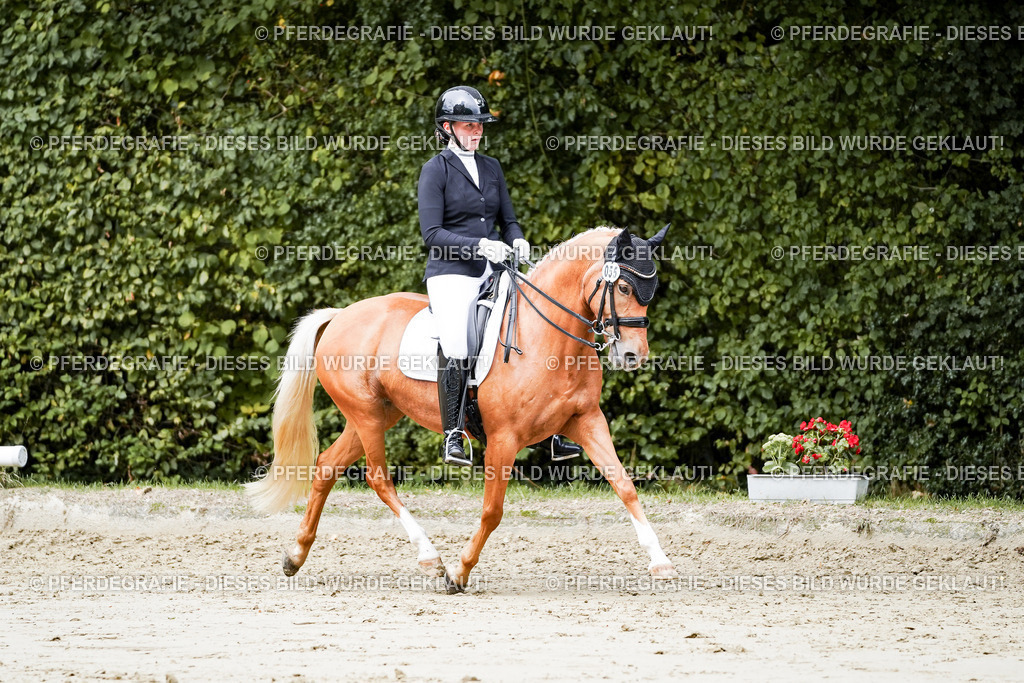 DSC04108 | Pferdegrafie