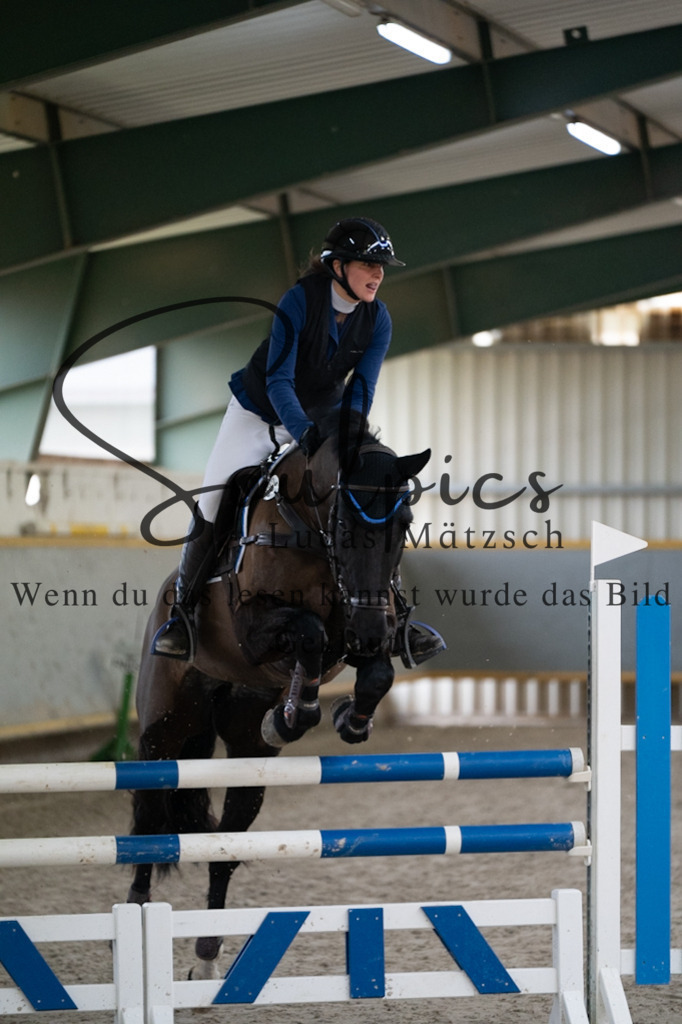 A7V07352 | Pferdefotograf