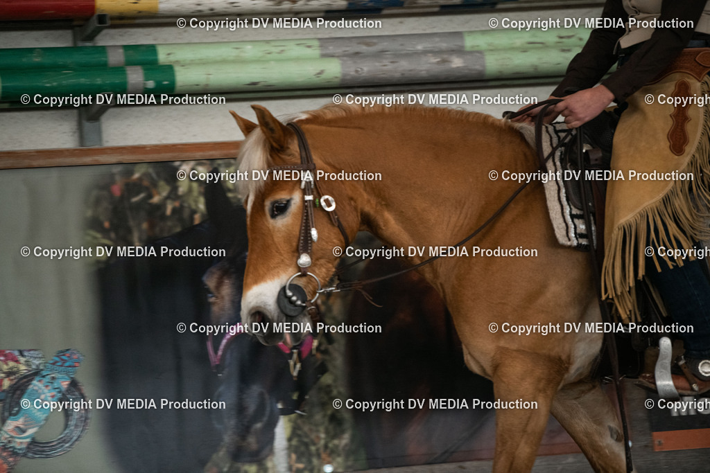 Heiligenwald Tag 1-245 | dv-media-shop - Realisiert mit Pictrs.com