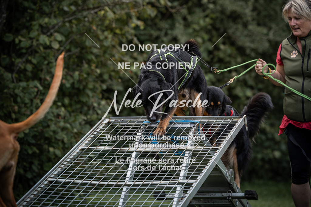nelerasche_SoLauf_12 | nelerasche