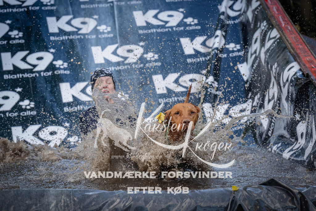 1553_ZZ91052 | kk-dogfotos