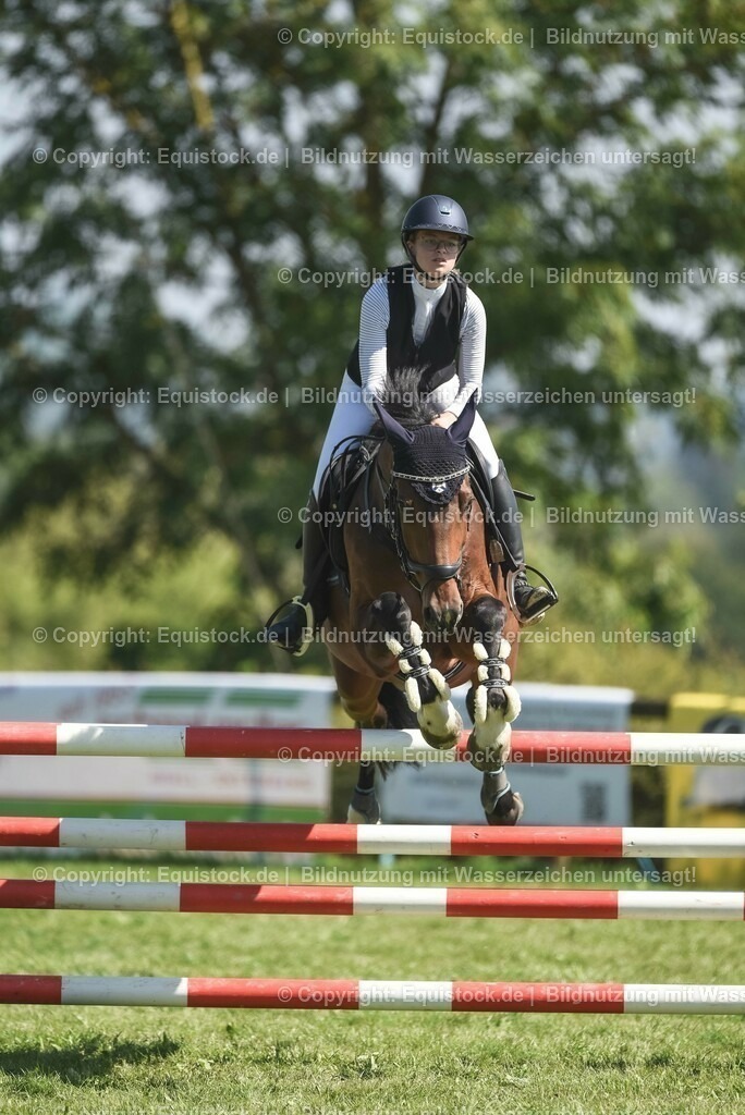 20230909_18_Springen_L_KSK-Böblingen_0160 | Foto: Thomas Hartig