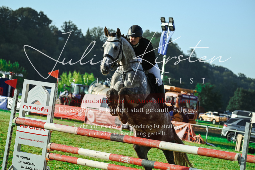 DSC_4168 | Pferde- und Turnierfotografie in Westsachsen. Pferdeportraits, Auftragszeichnungen und intuitive Kunst.