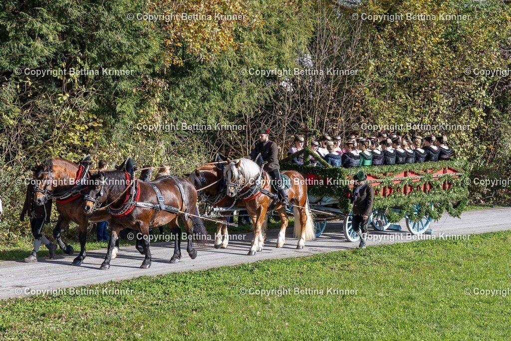 LBT24-560 | foto-bettina-krinner - Realisiert mit Pictrs.com