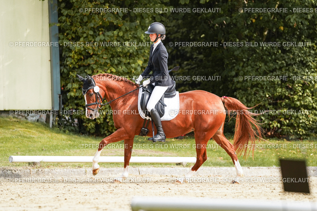 DSC04555 | Pferdegrafie