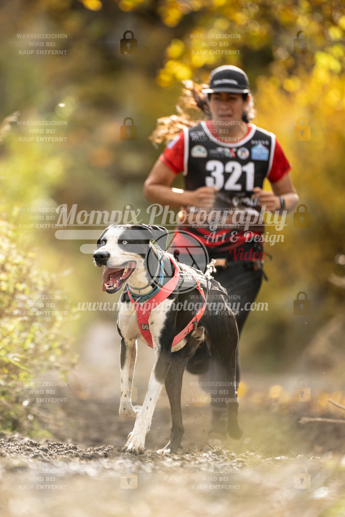 MompixPhotography_ICF_WC_2024_SA_Run_-220 | PayLife