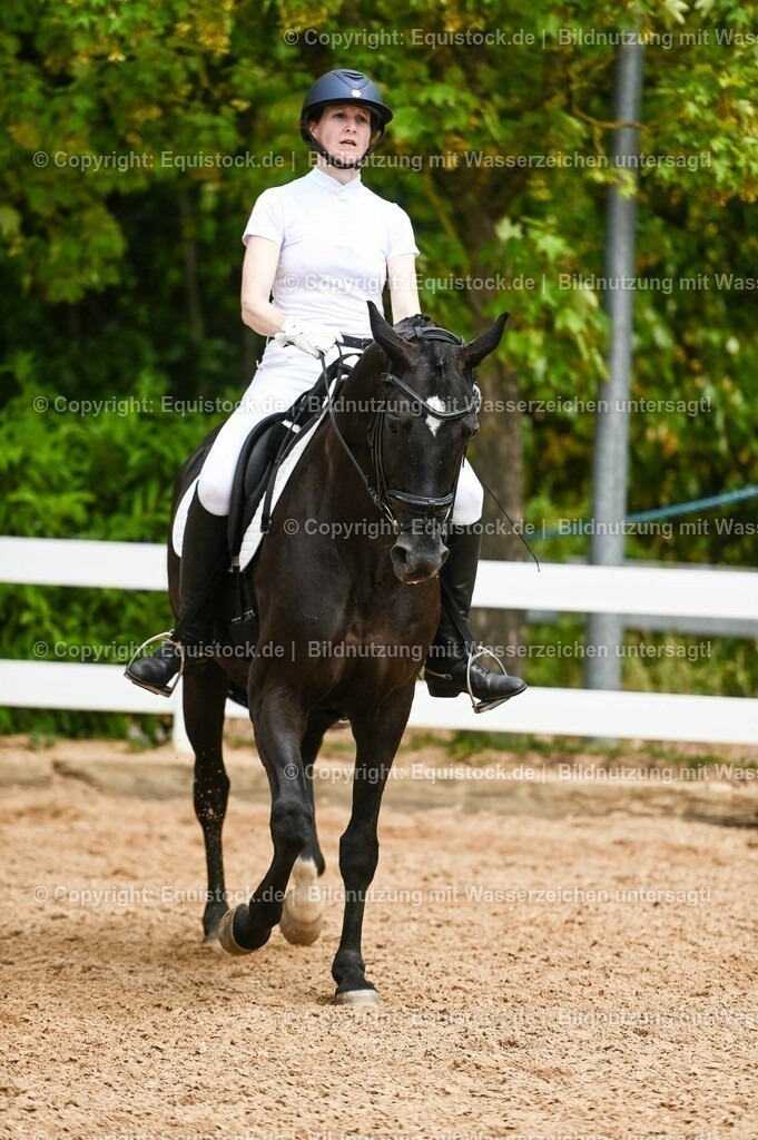 20230715_05_Dressurprüfung Kl.A++_0252 | equistock