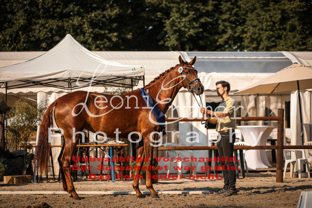 DoER00101 | Leoni Ertmer Photography - Realisiert mit Pictrs.com