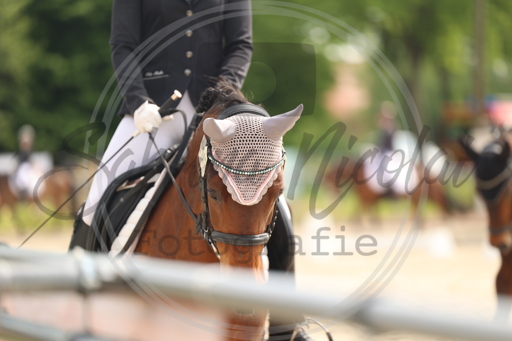 994A6828 | sabrinanicolaifotografie - Realisiert mit Pictrs.com