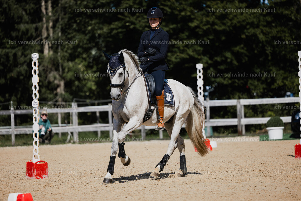 Svea13FHC2025-27384 | working equitationturnier fotograf videograf stoibphotography marixx film working equitation deutschland reitsport turnierfotografie eventfotografie equestrian events