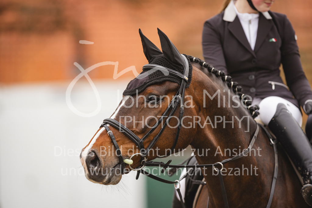 240330_Fruehlingsfest_Stil-A1_U30-372 | Deine schönsten Turniermomente als professionelle Fotos! Entdecke hochwertige Pferdesport-Fotografie im Online-Shop. Jetzt Fotos finden & bestellen!