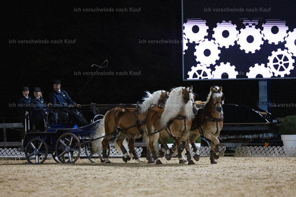 FHClassics-275 | working equitationturnier fotograf videograf stoibphotography marixx film working equitation deutschland reitsport turnierfotografie eventfotografie equestrian events