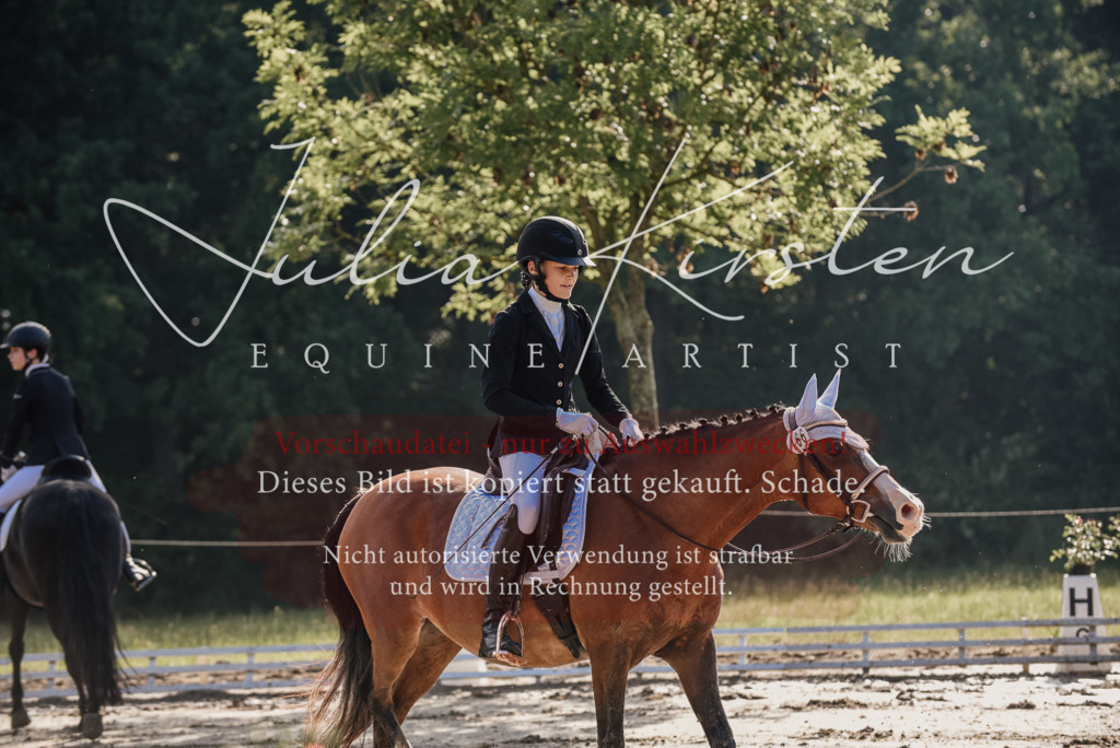 DSC_7893 | Pferde- und Turnierfotografie in Westsachsen. Pferdeportraits, Auftragszeichnungen und intuitive Kunst.
