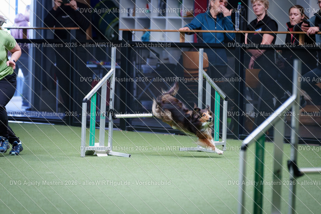 allesWIRTHgut_Tierfotografie-DVG_Agility_Masters_2026-12_27-7R502389 | Professionelle Tierfotografie in Mönchengladbach von Daniel Wirth (allesWIRTHgut). Liebevolle & natürliche Bilder von Hunden & Katzen für unvergessliche Erinnerungen.