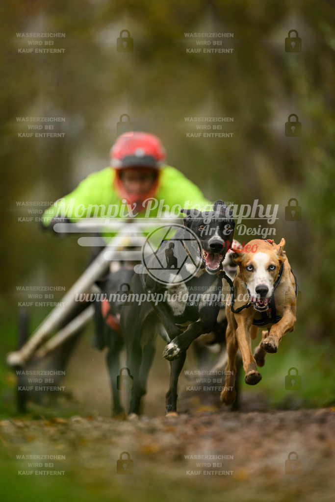MompixPhotography_20TSB_E6_Kart-4 | PayLife
