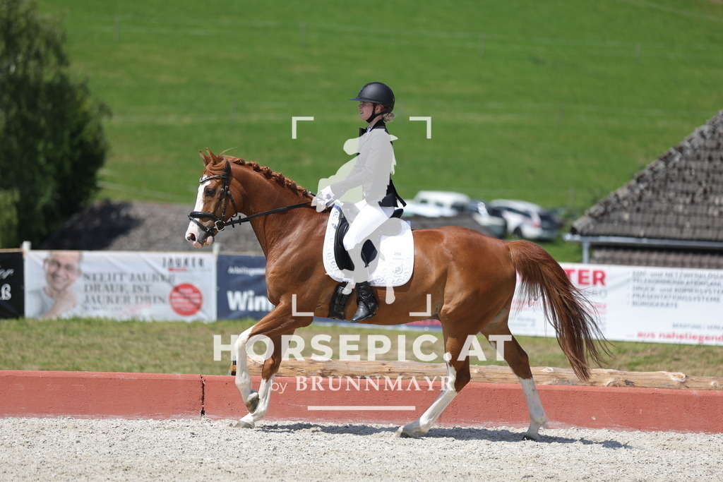 0P6A0690 | Willkommen bei Brunnmayr - Design & Fotografie – Ihrem Spezialisten für Reitturniere und Pferdeveranstaltungen in Oberösterreich, Salzburg und Bayern! Seit über 17 Jahren sind wir leidenschaftlich dabei.