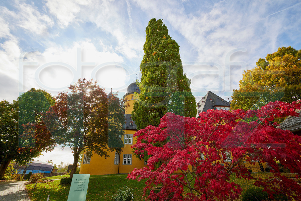 2022-10-12 14-19-30__5_12765 | Nitz Fotografie aus Montabaur bietet Ihnen hier die Möglichkeit Bilder auszusuchen und zu bestellen. 