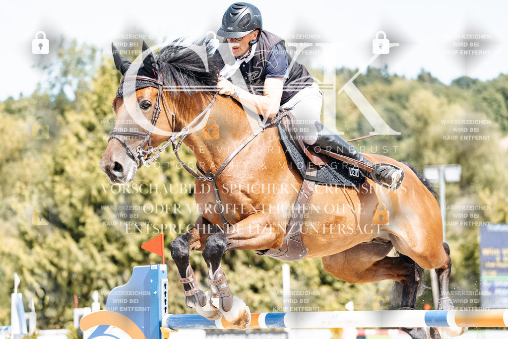 CK904892 | Turnierfotografie Pferdefotografie Trier Rheinland-Pfalz Pferdesport Reitsport Tierfotografie Sportfotografie Pferdevideo Pferdevideografie Equestrianvideography equestrianphotography  - Realisiert mit Pictrs.com