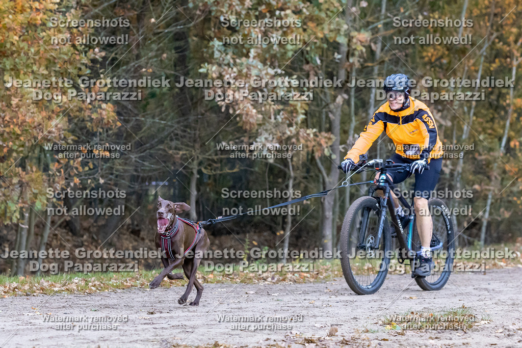 Dog Paparazzi - SD CaniX Championship 2025-229 | Dog Paparazzi Jeanette Grottendiek Fotografie & Videografie - Realisiert mit Pictrs.com