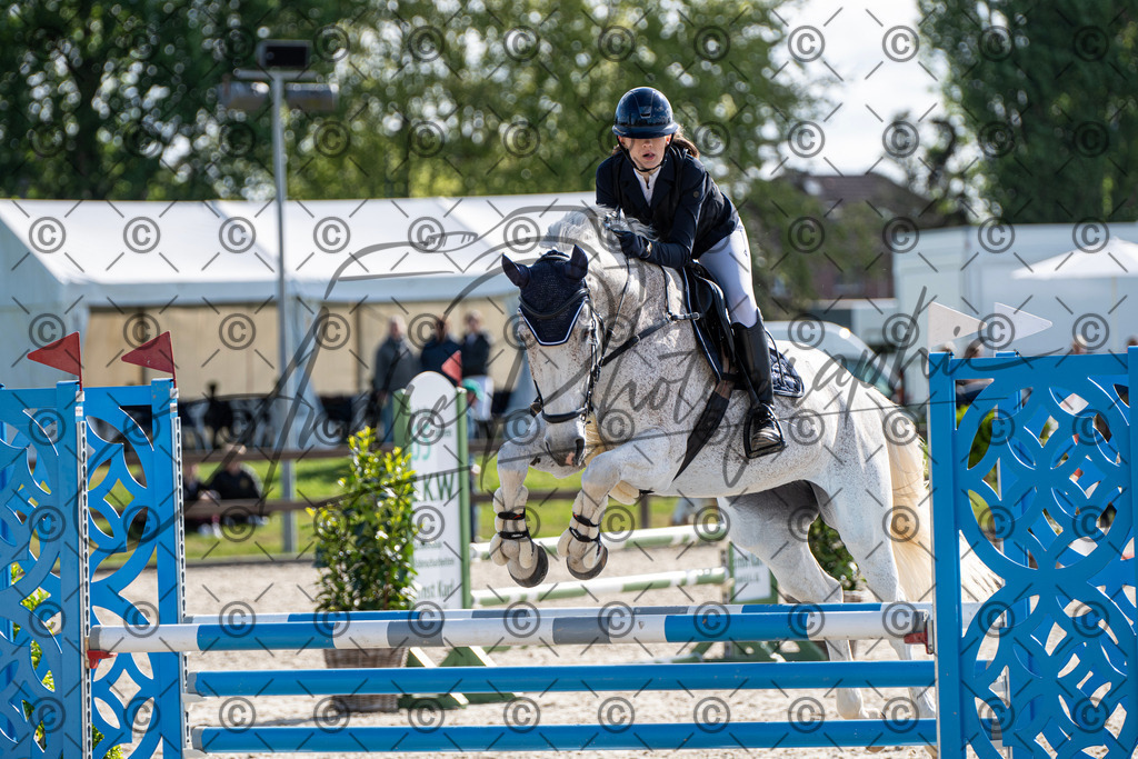 KPT_4545 | andre_photographic