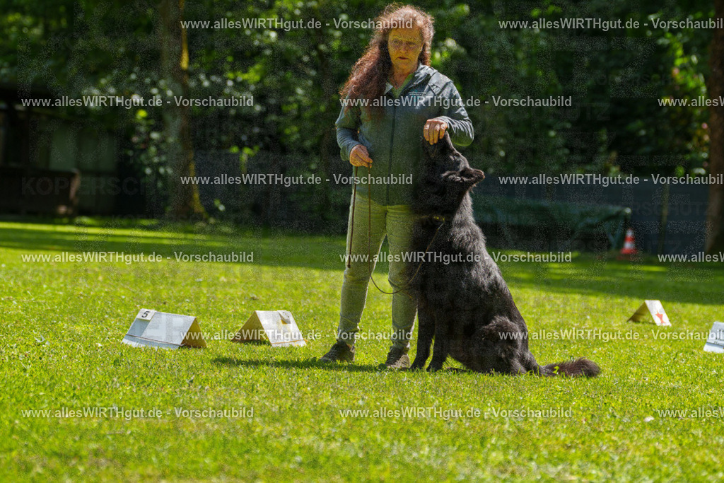 @allesWIRTHgut_Tierfotografie - www.allesWIRTHgut.de - 7R505700 | Professionelle Tierfotografie in Mönchengladbach von Daniel Wirth (allesWIRTHgut). Liebevolle & natürliche Bilder von Hunden & Katzen für unvergessliche Erinnerungen.