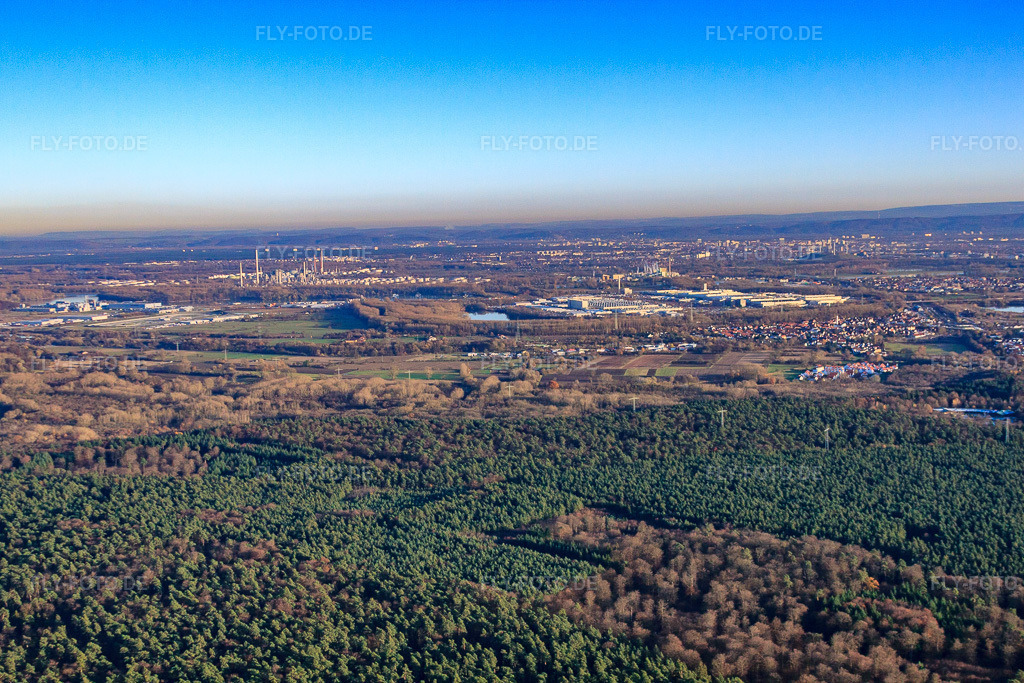 Luftbild: Stadt hinterm Bienwald von Nordwesten in Wörth am Rhein im Bundesland Rheinland-Pfalz in Deutschland. Foto: IMG_22628.jpg vom 19.11.2009 durch Werner Riehm/FLY-FOTO.de