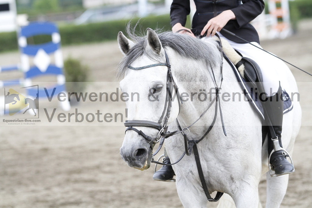 _MG_2115 | equestrian-live-com