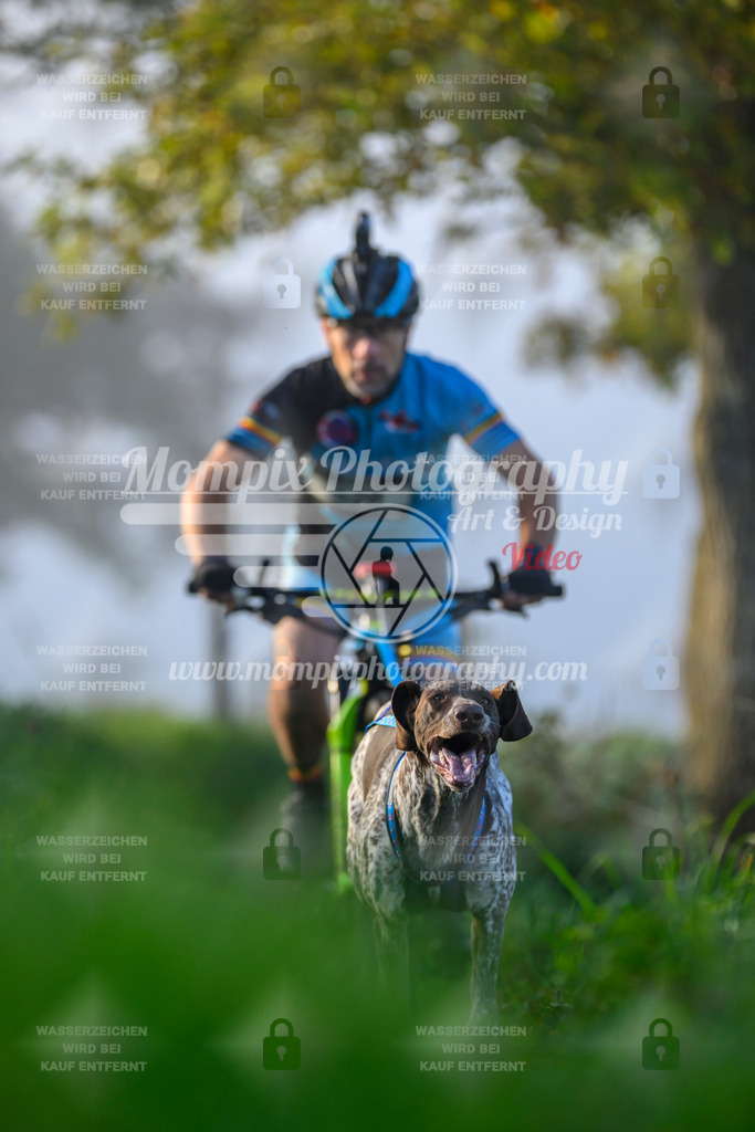 MompixPhotography_20TSB_E3_Bike-22 | PayLife