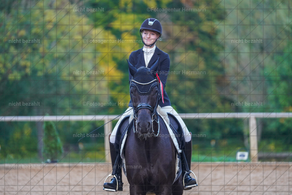 20221007-FAH00665 | Diessen am Ammersee, 2022, Dressur- und Springturnier, Reitsportbilder, Turnierfotografen Bayern, Pferdefotografen, Fotoagentur Herrmann, Turnierbilder