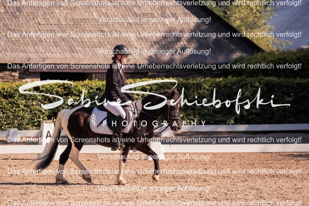 2025_05_31_DSCF2894 | People- und Tierfotografie, Imageaufnahmen, Veranstaltungsfotografie und Wandbilder aus der Natur ★ Made in Germany ✔️ Druck + Downloads ✔️ Naturfotografie in Top Qualität ★ schneller Versand, weltweite Lieferung! - Realisiert mit Pictrs.com