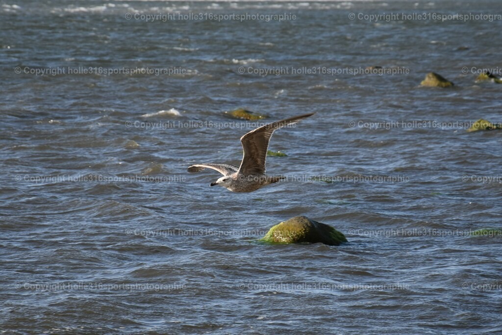 DSC_0024 (2) | Sportfotografie , Motorsport, Motoross, Reitsport, Mointainbike, Enduro,
Landschaft , Outdoor, Eventfotografie, Landschaft, Bilder online bestellen - Realisiert mit Pictrs.com