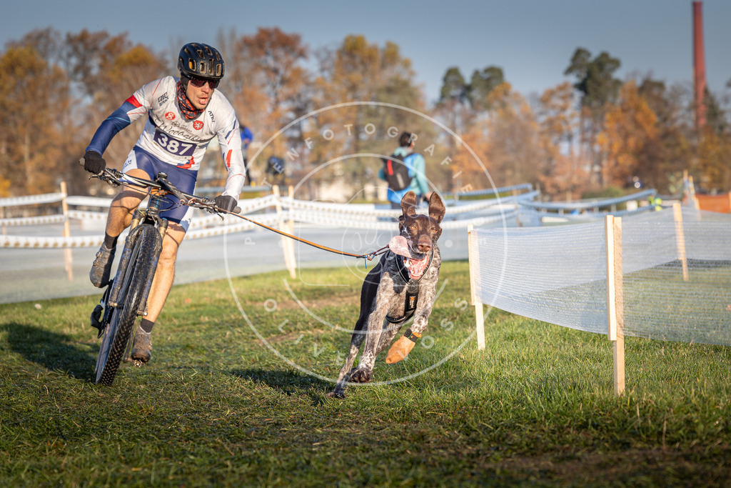 CaniXpix_0L8A3811 | Hundefotografie, Tierfotograf, Pfotenfotografie, Fotoshooting Hund, Hunde Portrait, Hundesport, Hundeportraits, Heideshooting, Hunde, Sportfotograf, Hundefotograf, Turnierhundsport, THS,  - Realisiert mit Pictrs.com