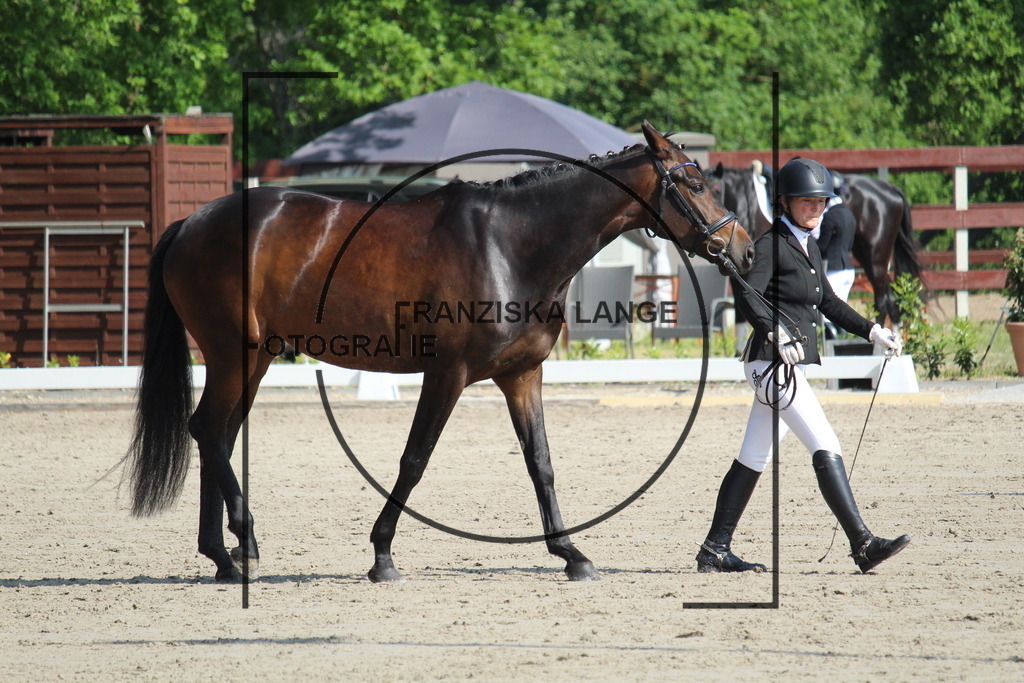 IMG_2732 | franziskalange - Realisiert mit Pictrs.com