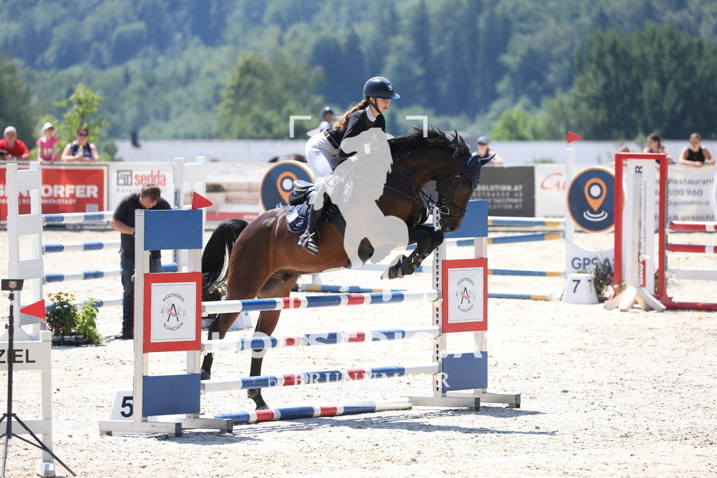 PP017140 | Willkommen bei Brunnmayr - Design & Fotografie – Ihrem Spezialisten für Reitturniere und Pferdeveranstaltungen in Oberösterreich, Salzburg und Bayern! Seit über 17 Jahren sind wir leidenschaftlich dabei.