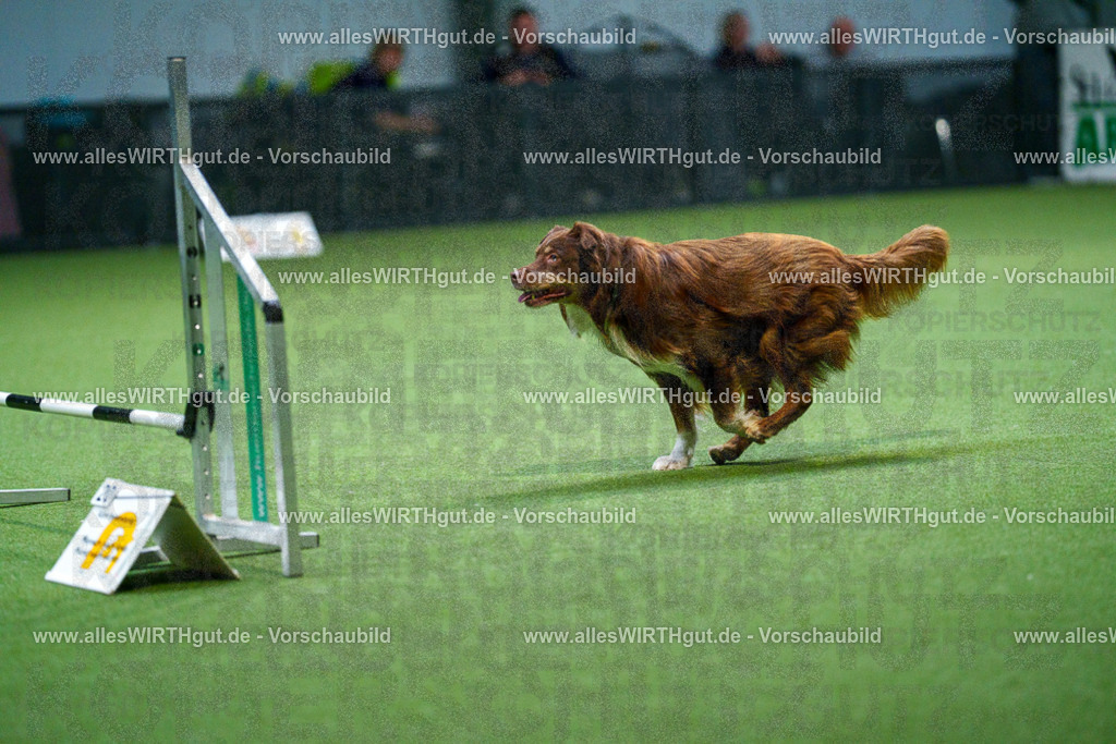 7R500875 | Professionelle Tierfotografie in Mönchengladbach von Daniel Wirth (allesWIRTHgut). Liebevolle & natürliche Bilder von Hunden & Katzen für unvergessliche Erinnerungen.