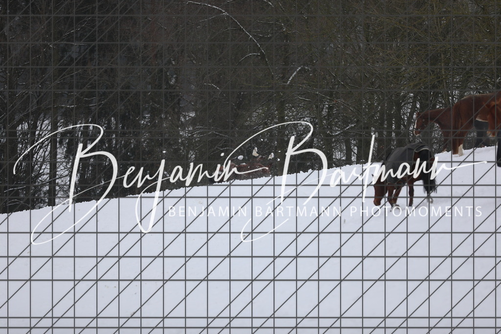 AZ2A3362 | Benjamin Bartmann Photomoments