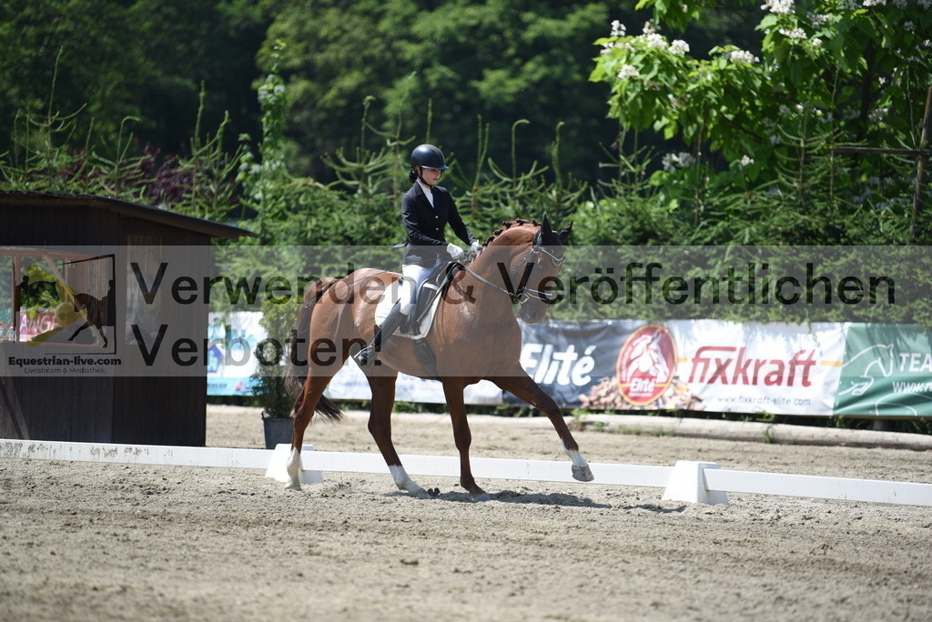 DSC_0972 | equestrian-live-com