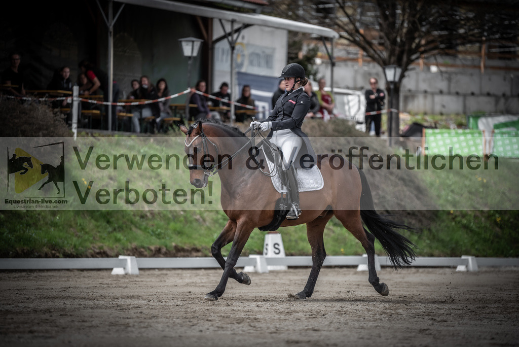 DSC_2444 | equestrian-live-com