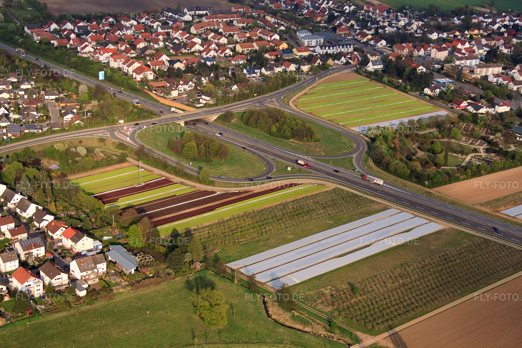 Luftbild: Anschlussstelle 8 Dannstadt-Schauernheim der A65 im Ortsteil Schauernheim in Dannstadt-Schauernheim im Bundesland Rheinland-Pfalz in Deutschland. Foto: IMG_49877.jpg vom 13.04.2012 durch Werner Riehm/FLY-FOTO.deAuflösung des Originals: 4752 x 3168 px