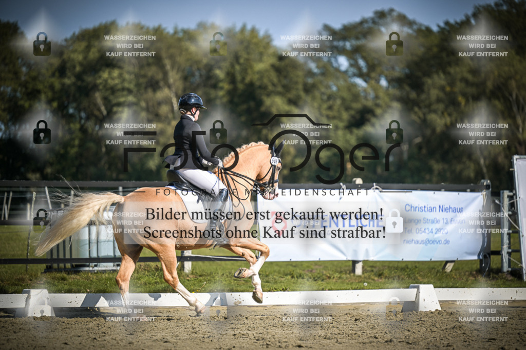 DOS_2163 | Entdecke hochwertige Reitturnierfotos von Foto Oger. Professionell, emotional und authentisch – jetzt Lieblingsmomente im Shop bestellen.Deutschlandweite Turnierfotografie. - Realisiert mit Pictrs.com