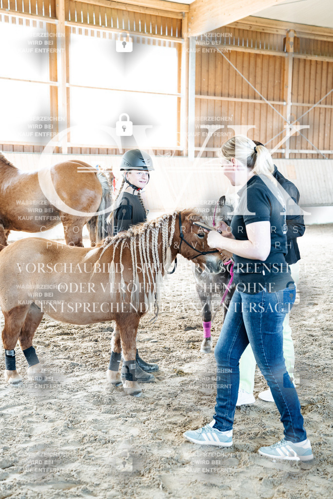 CK703199 | Turnierfotografie Pferdefotografie Trier Rheinland-Pfalz Pferdesport Reitsport Tierfotografie Sportfotografie Pferdevideo Pferdevideografie Equestrianvideography equestrianphotography  - Realisiert mit Pictrs.com