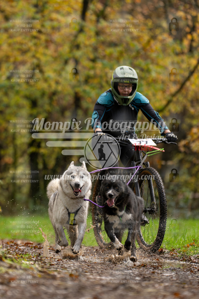 MompixPhotography_Bischwiller23_Bike2-7 | mompixphotography