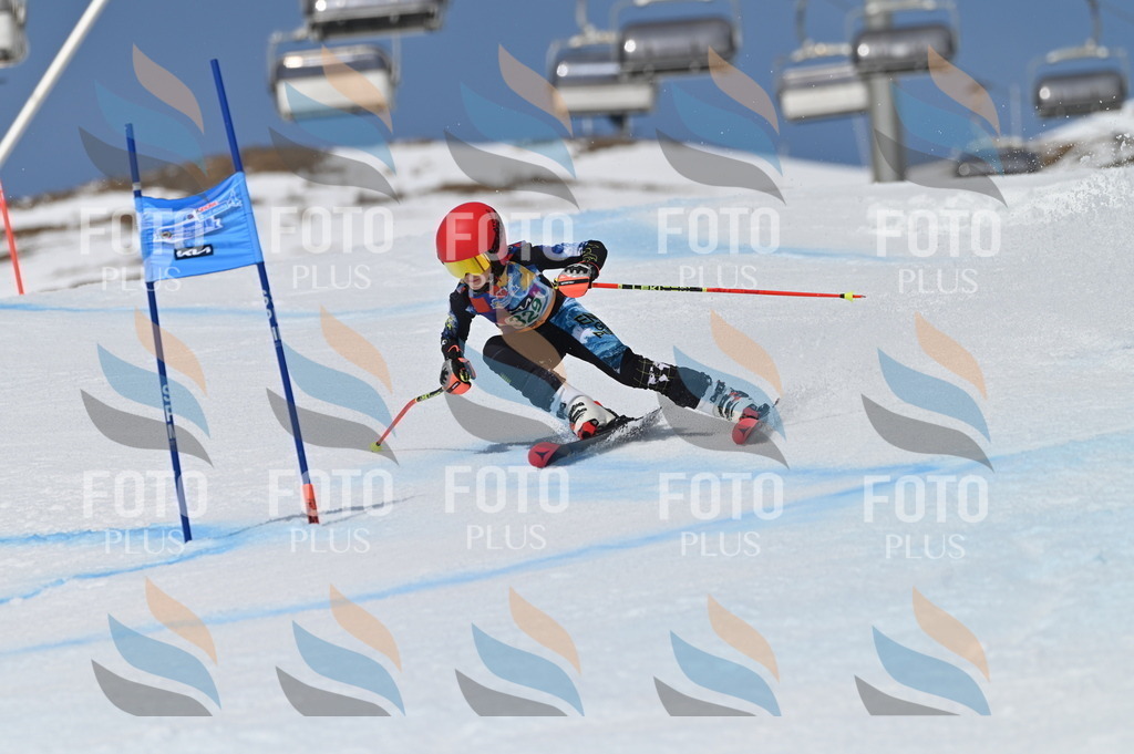 BGV_6520 | holidayphoto