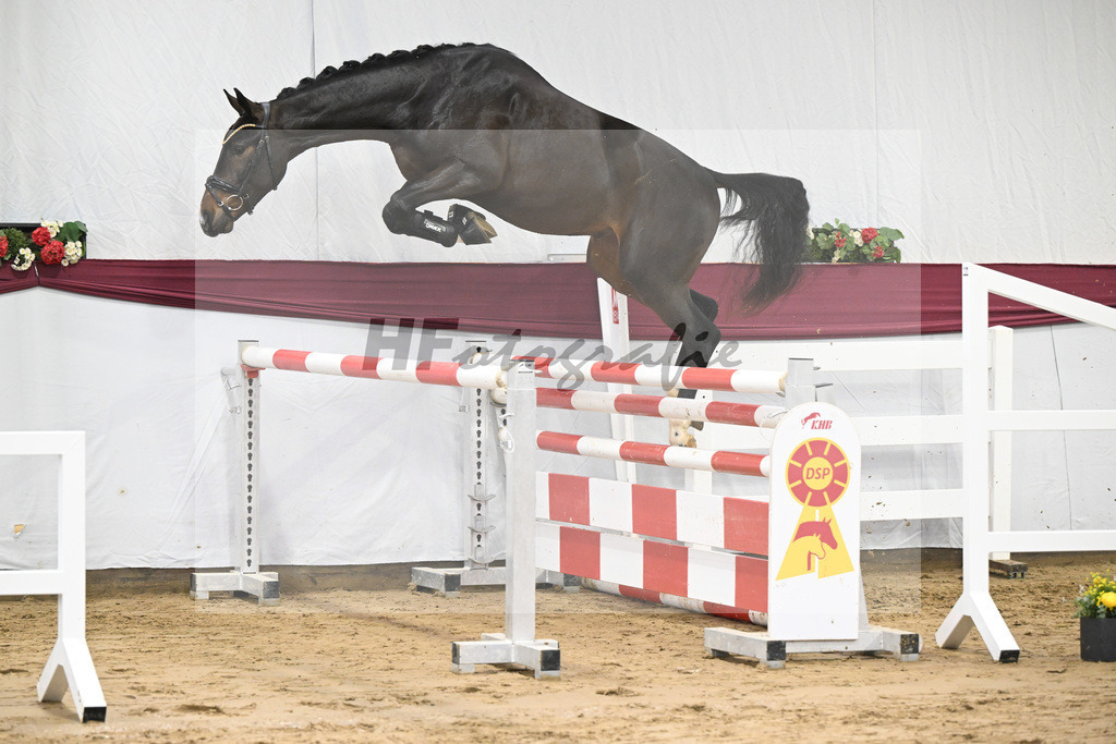 Kat-Nr. 73 Cornets Balou x For Pleasure_Michael Eichler_47252643 | hf-fotografie - Realisiert mit Pictrs.com