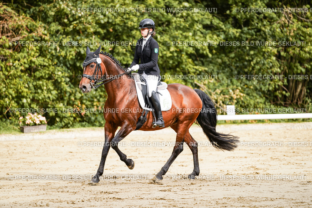 DSC02052 | Pferdegrafie