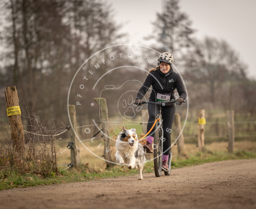 Pfotenfotografie_DV3A4203 | Hundefotografie, Tierfotograf, Pfotenfotografie, Fotoshooting Hund, Hunde Portrait, Hundesport, Hundeportraits, Heideshooting, Hunde, Sportfotograf, Hundefotograf, Turnierhundsport, THS,  - Realisiert mit Pictrs.com