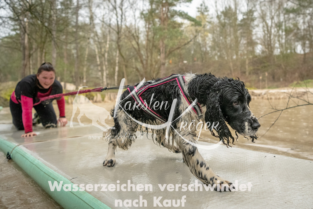 1056_ZZ93775-Bearbeitet | kk-dogfotos