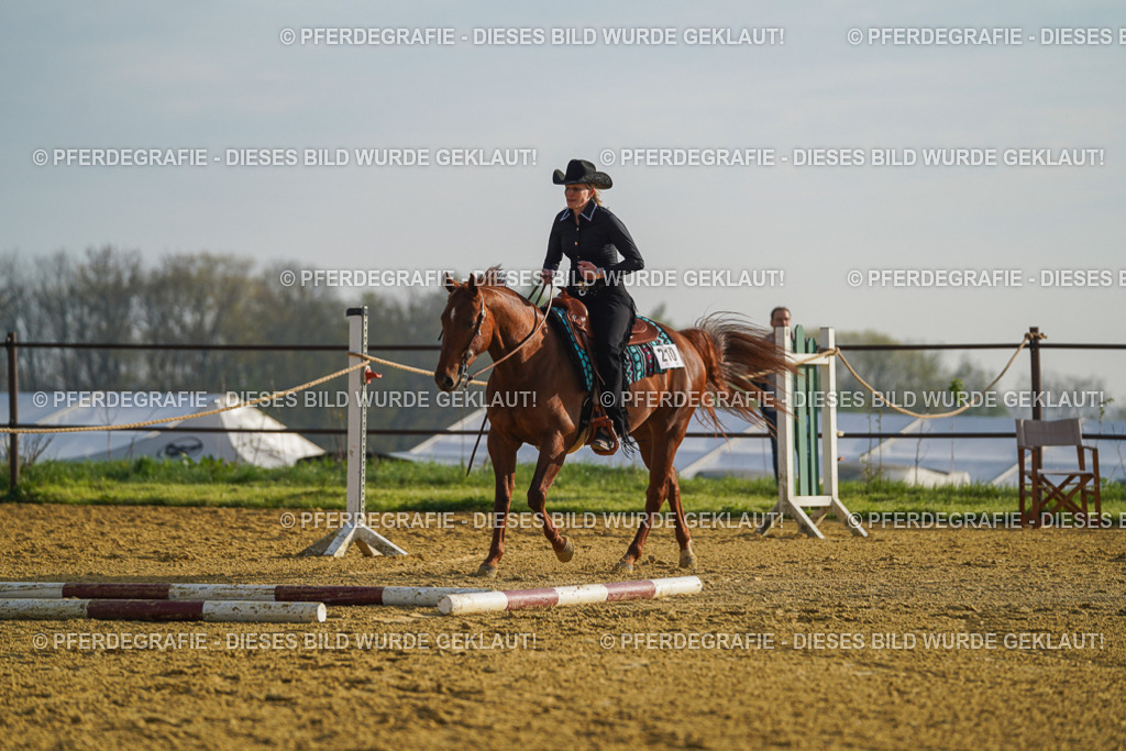 DSC00151 | Pferdegrafie